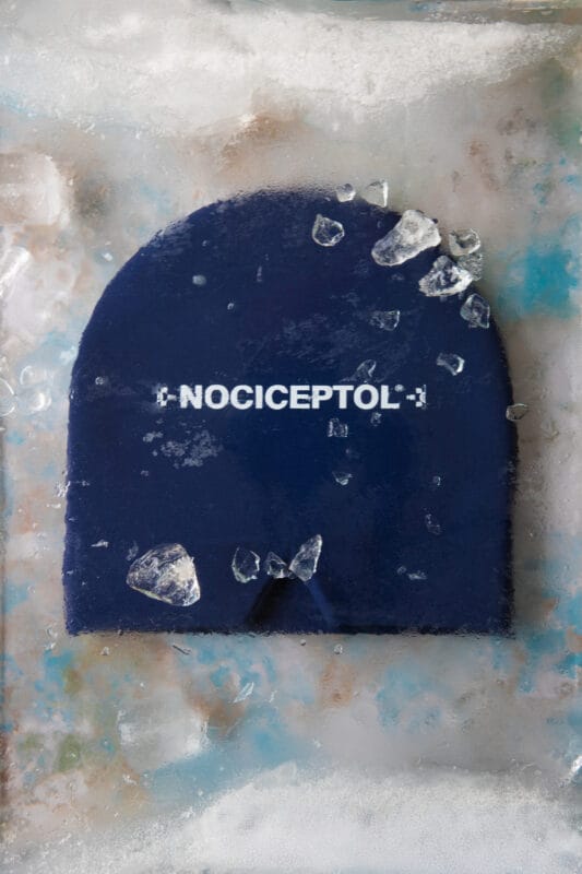 NOCICEPTOL BONNET MIGRAINE - 1